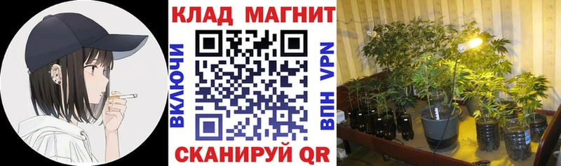Купить закладку Тырныауз ГАШ  КОКАИН  МЕГА ONION  Меф 