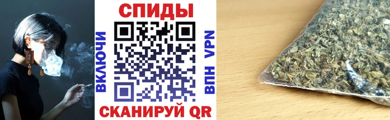 OMG Тырныауз Бутират бутик