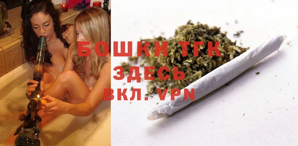 шишки Алексеевка